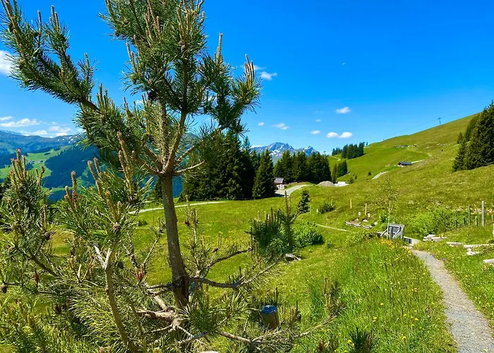 Alm Seasons Premium Chalet & Studios
