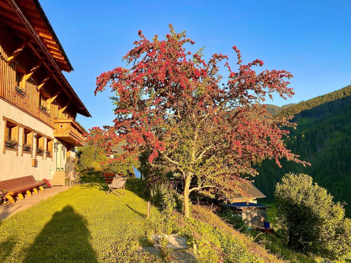 Séjour chez l'habitant Alm Seasons Premium & Saalbach-Hinterglemm